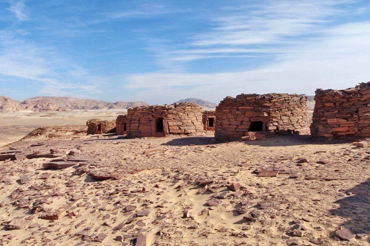 camel or jeep safari in the Sinai desert