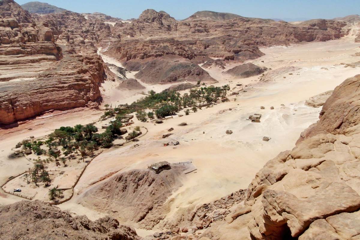 camel or jeep safari in the Sinai desert