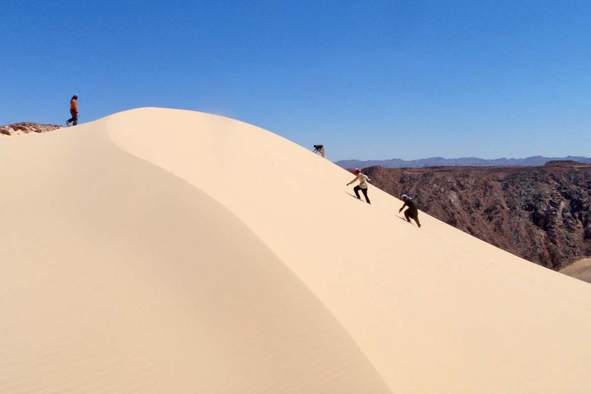 camel or jeep safari in the Sinai desert