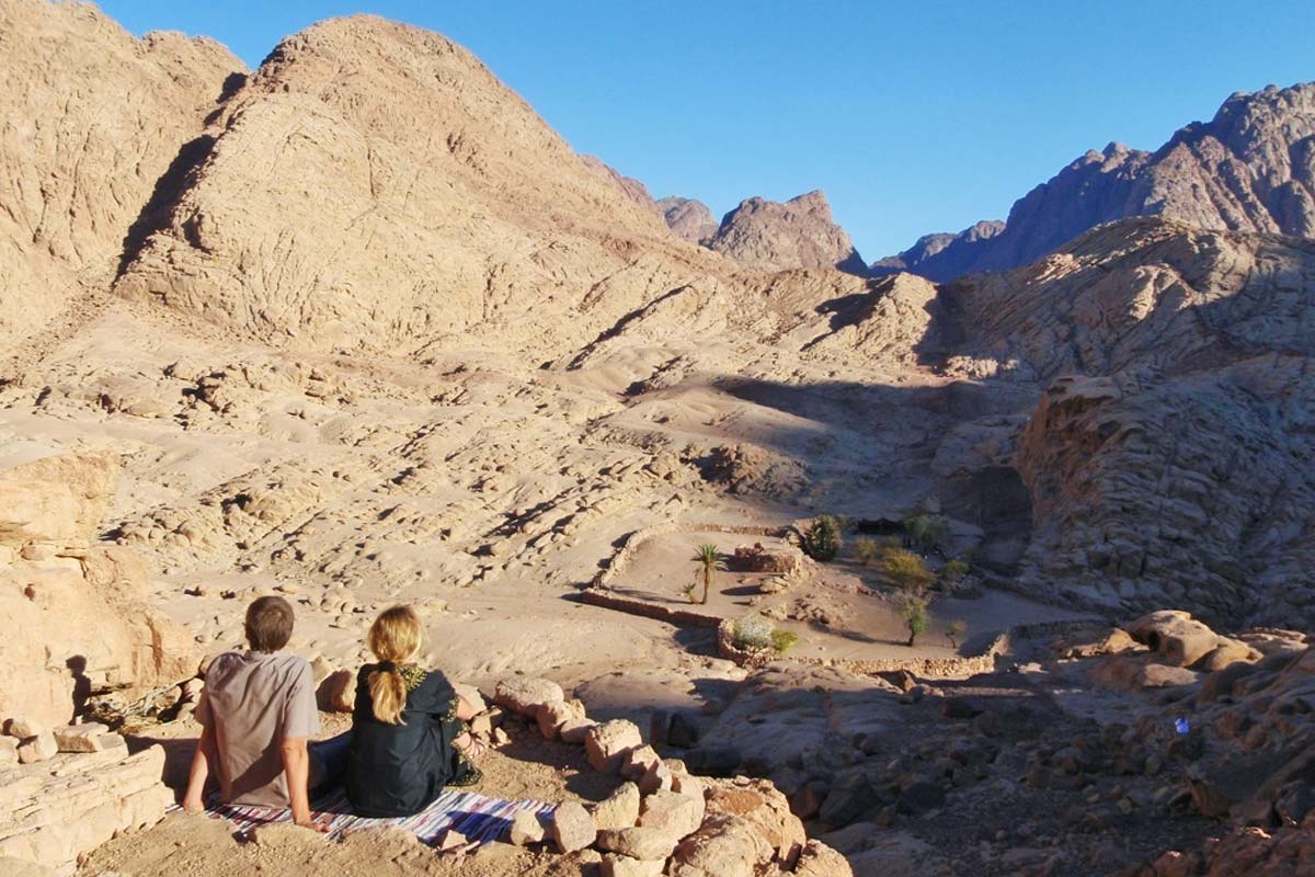 Bedouin gardens in the Sinai mountains