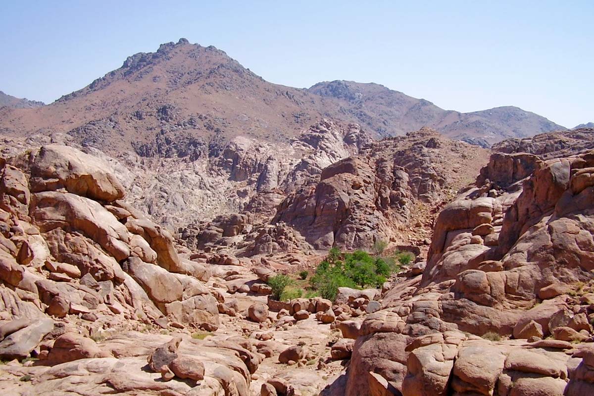 Bedouin gardens in the Sinai mountains