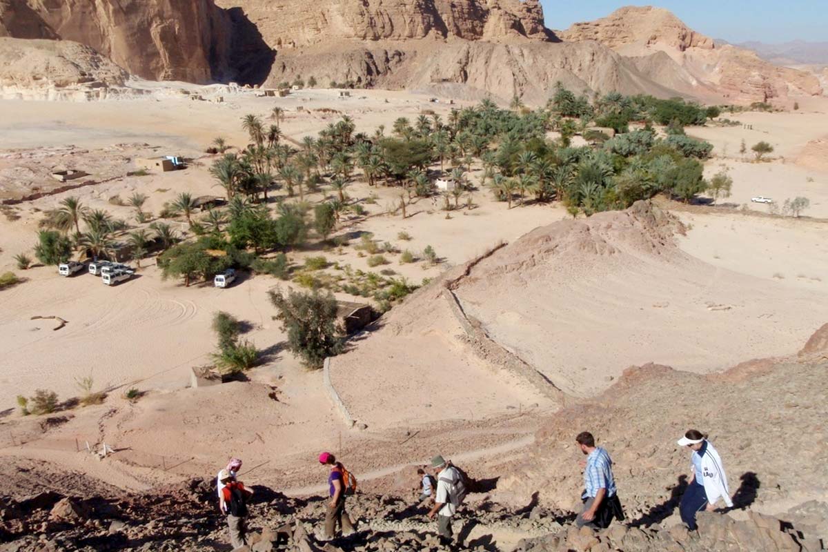 Sinai desert safari