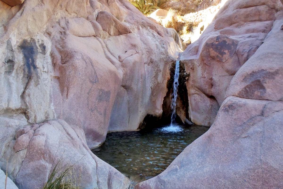 hiking and trekking in the Sinai mountains