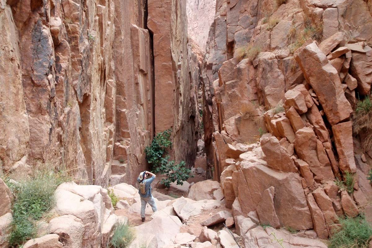 hiking and trekking in the Sinai mountains