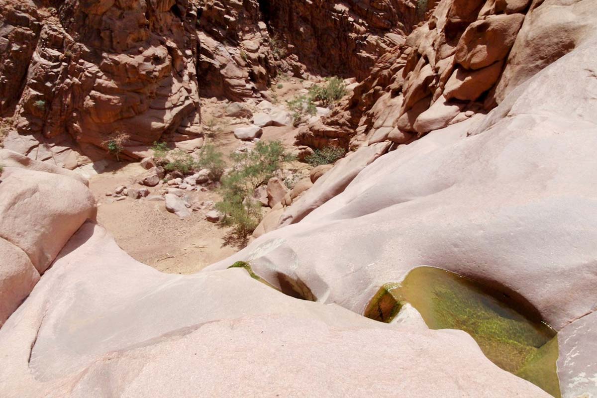 hiking and trekking in the Sinai mountains