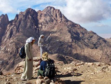 Hiking, trekking and safaris in Sinai