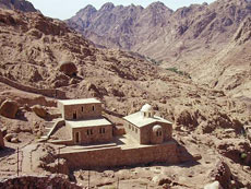 Hiking, trekking and safaris in Sinai