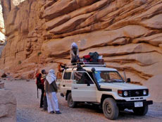 Hiking, trekking and safaris in Sinai