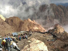 Hiking, trekking and safaris in Sinai