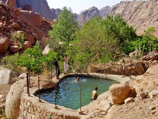 Hiking, trekking and safaris in Sinai